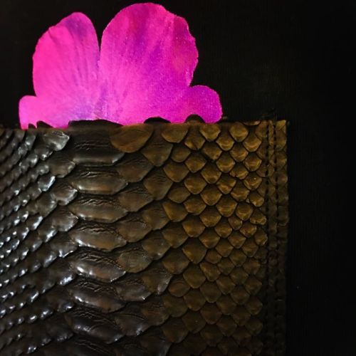Black Python Leather Skin chest pocket for shirt w/ a printed purple flower slightly sticking out of thepocket.