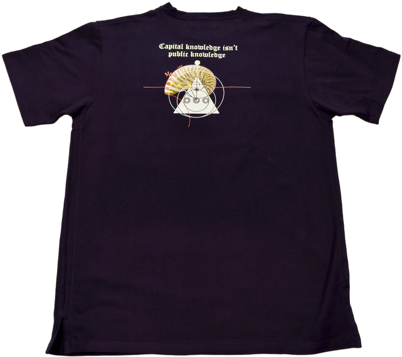 DarqMatterDesign CutnSew T-Shirts Capitol Knowledge